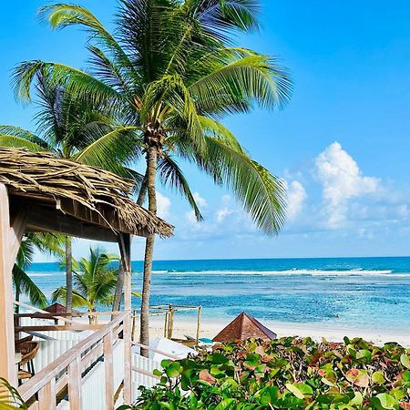 Acces Direct Plage, Vue Mer D'Exception, Les Gwada Studios, Village Vacances Sainte-Anne  Kültér fotó