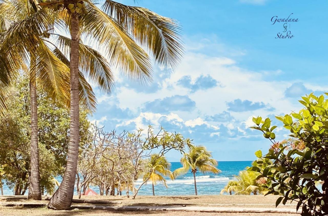 Acces Direct Plage, Vue Mer D'Exception, Les Gwada Studios, Village Vacances Sainte-Anne  Kültér fotó
