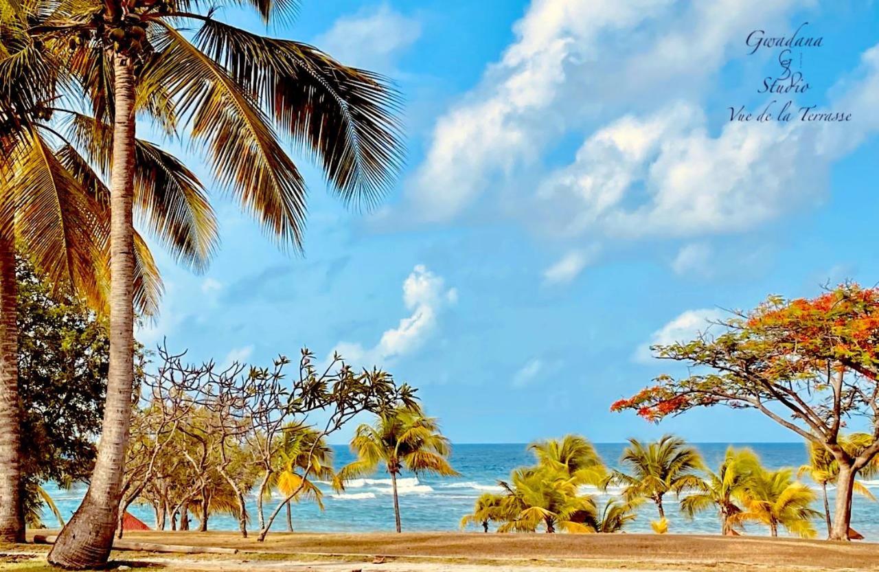 Acces Direct Plage, Vue Mer D'Exception, Les Gwada Studios, Village Vacances Sainte-Anne  Kültér fotó
