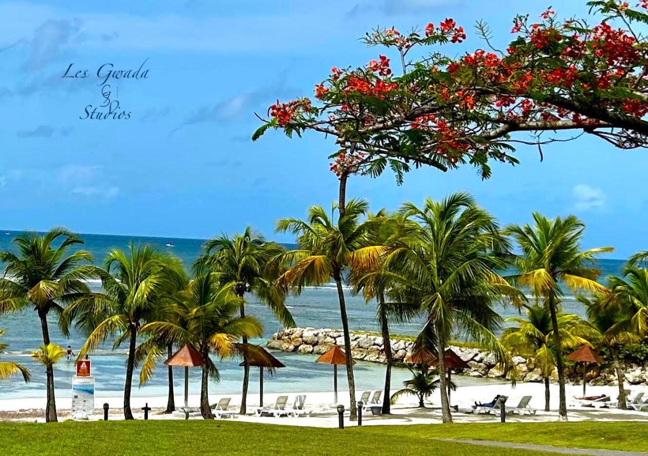 Acces Direct Plage, Vue Mer D'Exception, Les Gwada Studios, Village Vacances Sainte-Anne  Kültér fotó